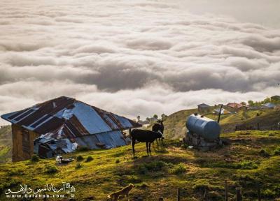 سفر به فیلبند٬ مرتفع ترین ییلاق مازندران