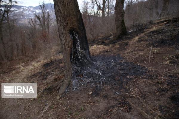 خبرنگاران آتش سوزی در 2 نقطه جنگلی رامسر مهار شد