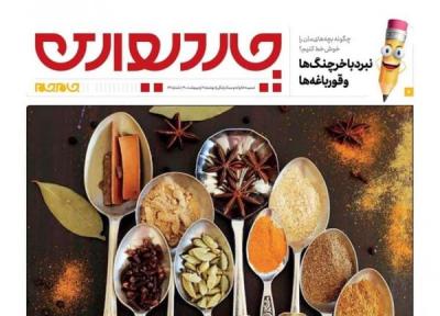ضمیمه چاردیواری منتشر شد