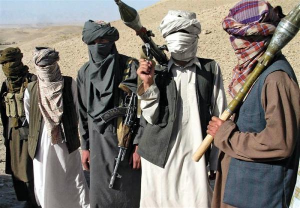 طالبان: دولت کابل با ترورهای هدفمند نمی تواند مانع اخراج اشغالگران گردد