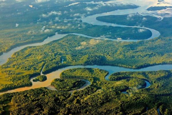 مقاله: پارک ملی Corcovado در شبه جزیره Osa کاستاریکا