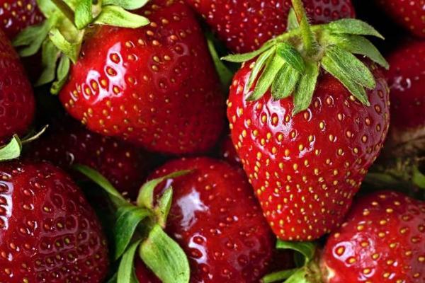 چرا برخی توت فرنگی ها طعم بیشتری دارند؟